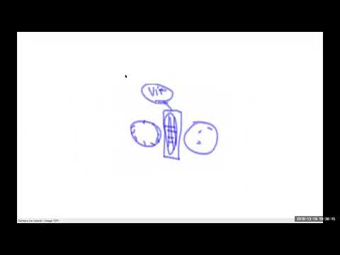 2018 12 19 PM Public Teaching in Spanish - Enseñanzas públicas en Español