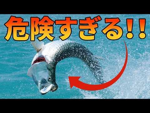 巨大生物ターポンが危険すぎる！！【解説動画】