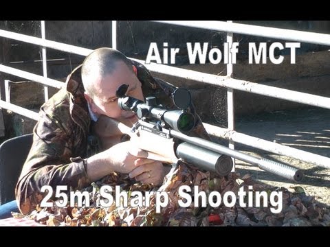 AIR RIFLE @ 25m: Daystate Airwolf MCT Air Gun .177