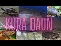 Seru Banget Bermain Dan Belajar Hewan Peliharaan Kura Kura Daun