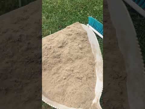 Witches Work Overtime in Kentucky | Goofer Dust Rituals