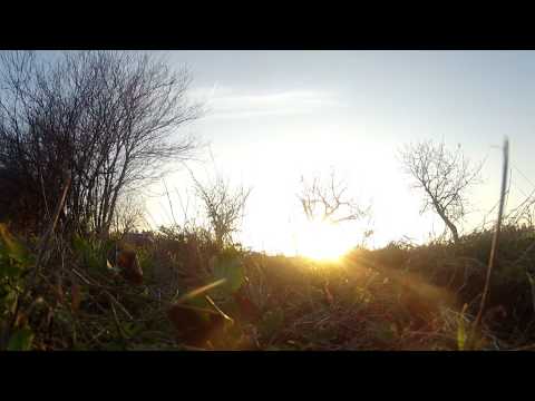 Besipky - Ujetí od nehody