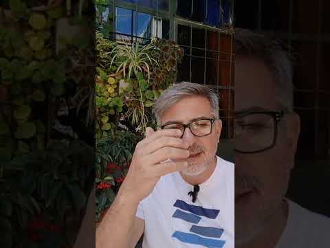 Evangelio del Nuestro Señor Jesucristo Con el Padre Fabian Esteban Oliva. 10/11/25