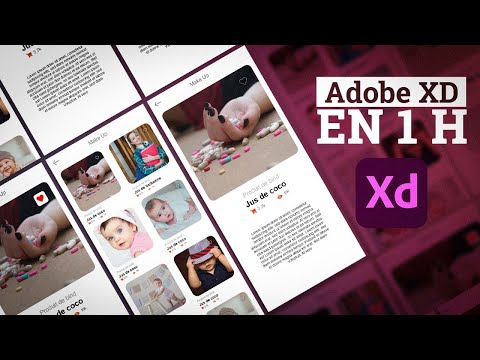 Formation Adobe Xd pour débutants en 1h