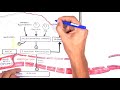 Burns (DETAILED) Overview - Types, Pathophysiology, TBSA