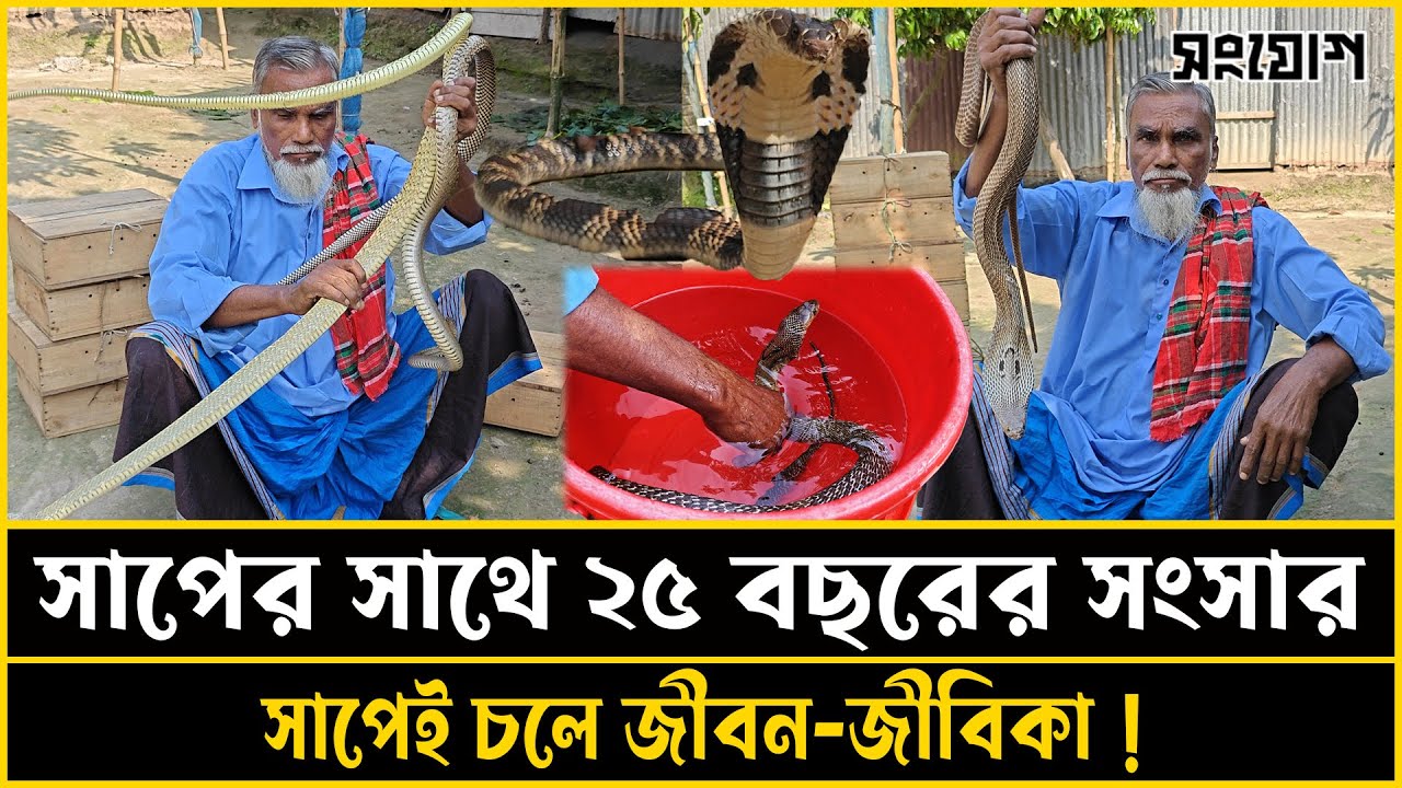 সাপের সাথে ২৫ বছর: এক সাপুড়ের জীবন সংগ্রামের গল্প