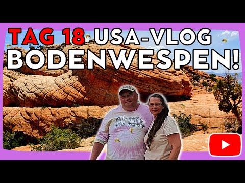 USA Roadtrip VLOG 2023 | Südwesten Tag 18 (BODENWESPEN)