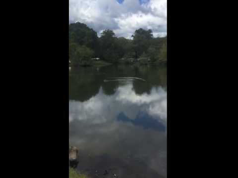 picnic tables near river