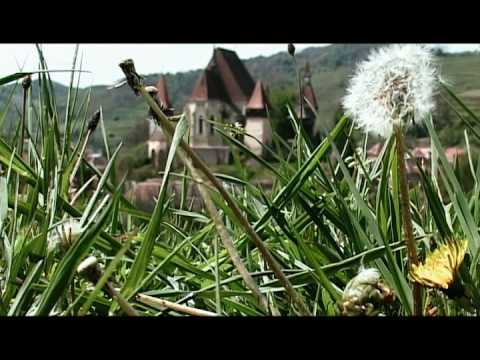 The Fortified Chuch of Biertan by Zet Art
