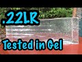 Not What We Expected Popular 22LR Ammo Tested In Ballistics Gel
