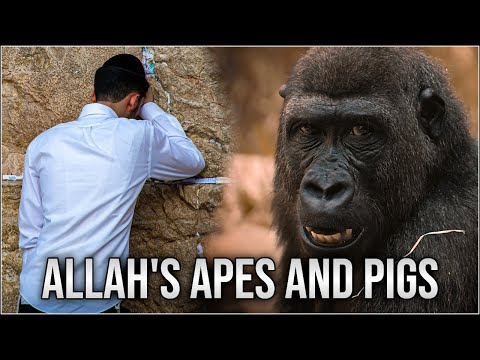How the Quran Turns Jews Into Monkeys
