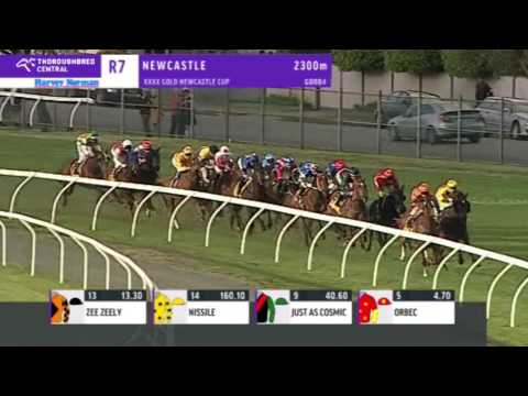 Beyond Thankful wins Newcastle Cup