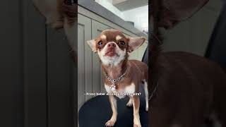 QUANDO SEU FILHO FAZ PERGUNTAS DIFÍCEIS