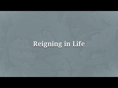 Reigning in Life - NS 515