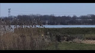 Steve Winwood - There&#39;s a River with lyrics