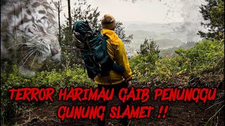 Download lagu Terrorized by the Magical Tiger of Mount Slamet !! SOLO CAMPING HORROR IN MOUNTAIN CLIMBING SLAMET ! mp3 Download lagu Terrorized by the Magical Tiger of Mount Slamet !! SOLO CAMPING HORROR IN MOUNTAIN CLIMBING SLAMET ! mp3