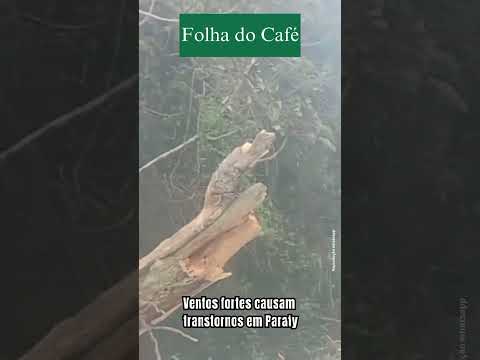 Ventos fortes causam transtornos em Paraty 