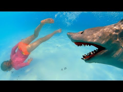 download lagu mp3 mp4 Slide Falls, download lagu Slide Falls gratis, unduh video klip Download Slide Falls Mp3 dan Mp4 Viral Gratis