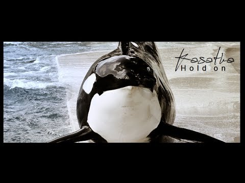 Kasatka - Hold on