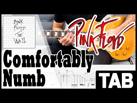 Pink Floyd - Comfortably Numb (1st and 2nd Guitar Solo) | Guitar Cover | Tab | Lesson | Tutorial