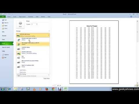 Microsoft Office Excel 2010 Print the Document