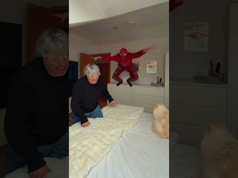 CREO QUE NO ME ENTENDIÓ 😅#shorts #tobbaliink