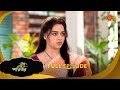 Basu Paribar Full Episode 19 Feb 2025 Full Ep FREE On SUN NXT Sun Bangla Serial