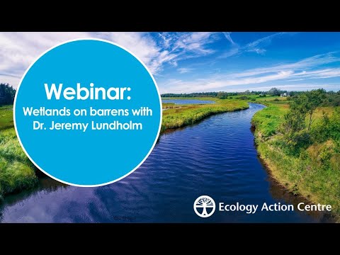 Webinar: Wetlands on barrens with Dr. Jeremy Lundholm