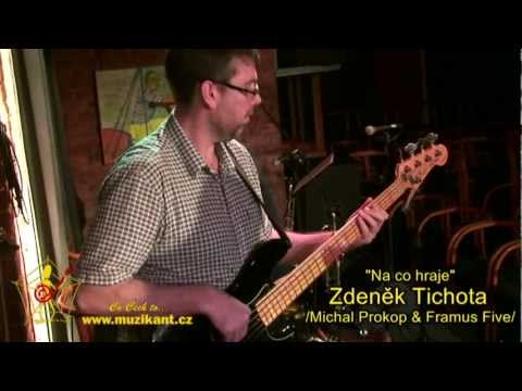 muzikant.cz Na co hraje - Zdeněk Tichota - Michal Prokop band