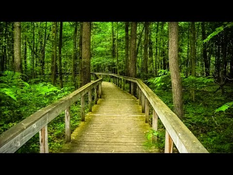 Landscape Photography Critique #024 + Quick Edit of 9 Photos In Lightroom