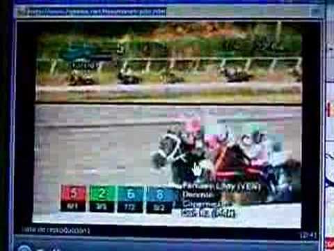 Sintoniadx: Fantasy Lady gana Copa de La Velocidad.