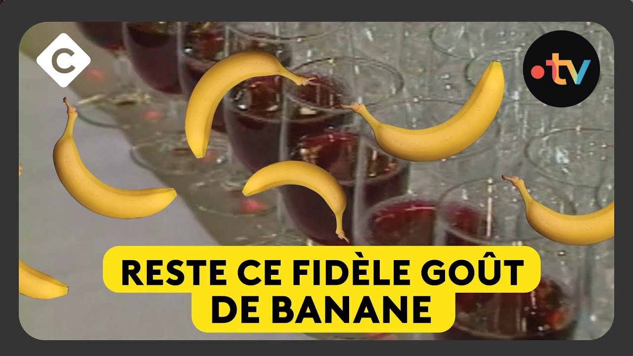 Beaujolais nouveau : c’est (encore) plus ce que c’était… - L’ABC de Bertrand Chameroy - 20/11/2025