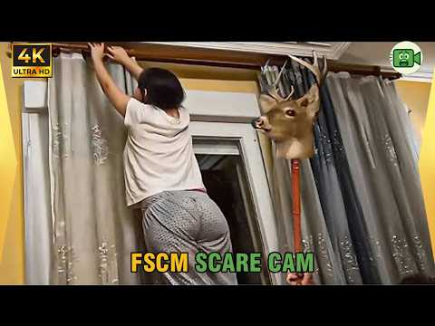 🔥 Best Scare Cam Prank 2026 😱 #179 | Epic Fails | Jump Scare | FSCM