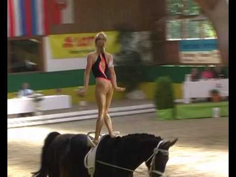 CVI** Krumke 2010 - Einzel