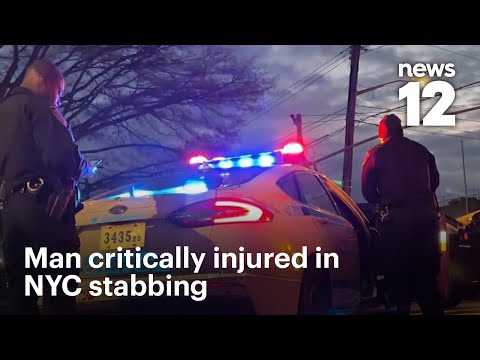 Man stabbed in back and abdomen in The Bronx | News 12