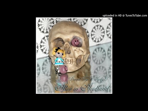 Dominik Vogel & Kinky T - Die Cutter (Live)