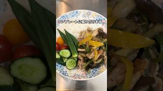【自炊】仕事終わりの晩御飯作り🍴オイスターソース炒め#一人暮らしごはん #簡単レシピ