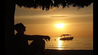 On and On  - Stephen Bishop - w/lyrics - 1977