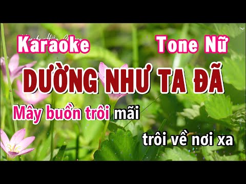 Dường Như Ta Đã Karaoke Tone Nữ Fm | Karaoke Hiền Phương