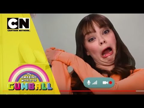 ガムボールの木「ガムボール」 植物