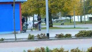 preview picture of video 'chinese auf {zucker] am stadtsee ( Stendal )'
