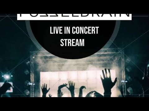 Fuzzelbrain & Mido Live in Concert