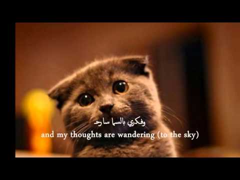 Romantic arabic nasheed {Eng subtitles} | 'Amana' + remix