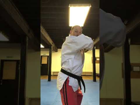 02 Roundhouse Elbow Strike