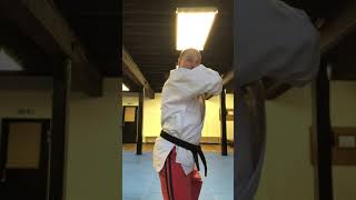 02 Roundhouse Elbow Strike
