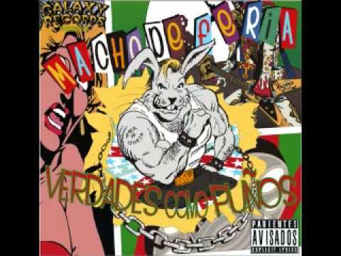 Macho de feria - Engordé