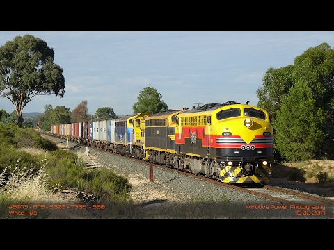 2017 02 15 - #9073 - B75 + S303 + T386  + B80