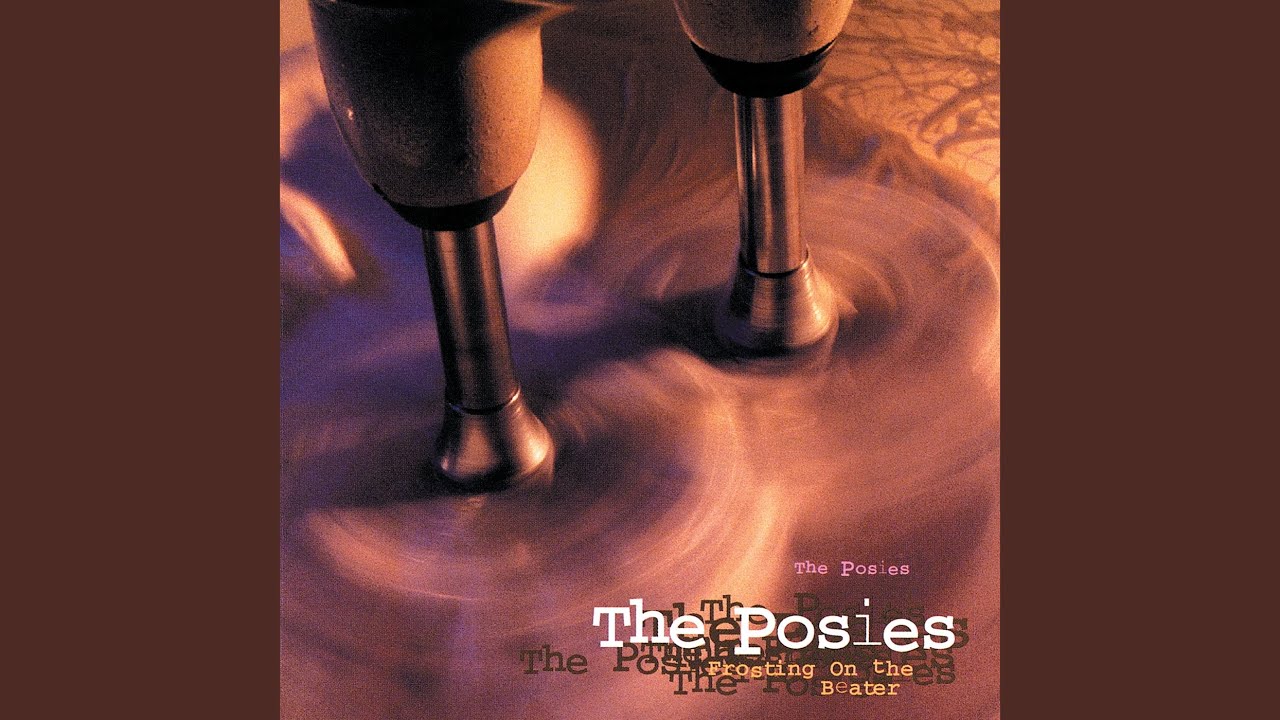 The Posies - 20 Questions