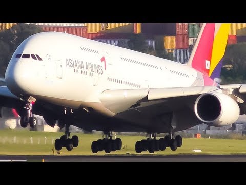 20 LANDINGS in 10 MINUTES | 747 787 A380 | Sydney Airport Plane Spotting