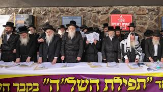 גדולי ישראל בתפילה בציון השל''ה בטבריה | Great Torah Sages in Prayer at the Grave of the Shelah